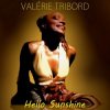Portada Valérie Tribord - Hello Sunshine (Instrumental) Valérie Tribord - Hello Sunshine (Instrumental)