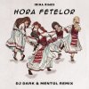 Portada Irina Rimes - Hora fetelor (Dj Dark & Mentol Remix) Irina Rimes - Hora fetelor (Dj Dark & Mentol Remix)