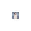 Portada Sally Dige - Holding On Sally Dige - Holding On