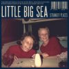 Little Big Sea - My Famous Laughter