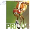 Portada R-Tem - Voiceless (Z05 Mix) R-Tem - Voiceless (Z05 Mix)