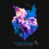 Portada Evaride & Sam Tinnesz - Underdogs Evaride & Sam Tinnesz - Underdogs