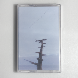 Portada Buttechno - Japan coasts