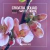 Portada Croatia Squad & Frey - White Horse (Nytron, M0B & Gustavo Peluzo Remix) Croatia Squad & Frey - White Horse (Nytron, M0B & Gustavo Peluzo Remix)