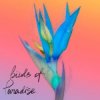 Portada From:Ksusha & Yongue - Birds Of Paradise From:Ksusha & Yongue - Birds Of Paradise