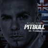 Portada Pitbull - Not An Alcoholic Pitbull - Not An Alcoholic