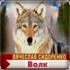 Portada Вячеслав Сидоренко - Волк Вячеслав Сидоренко - Волк
