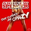 Andrew Spencer - She Drives Me Crazy (Festival Extended Mix)