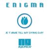 Portada ENIGMA - Je T'aime Till My Dying Day (NJ Remix) ENIGMA - Je T'aime Till My Dying Day (NJ Remix)