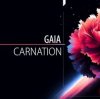 Portada Gaia - Carnation Gaia - Carnation