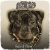 Portada Dogg Master - You're So Freaky