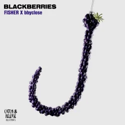 Portada FISHER & bbyclose - Blackberries (Extended Mix)