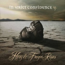 Portada In Strict Confidence - The Darkside