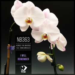 Portada I Will Remember (Original mix)