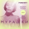 Portada Andrey Pitkin feat. Lera Papish - Мурашки Andrey Pitkin feat. Lera Papish - Мурашки