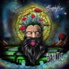Обкладинка Psydewise - Genetic Reflection Psydewise - Genetic Reflection