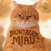 Portada Lenar & Leonardo P - Montagem Miau - Slowed Lenar & Leonardo P - Montagem Miau - Slowed