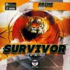 Portada Survivor - Eye Of the tiger (Prime Remix) Survivor - Eye Of the tiger (Prime Remix)