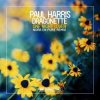 Portada Paul Harris feat. Dragonette - One Night Lover (Nora en Pure Remix) Paul Harris feat. Dragonette - One Night Lover (Nora en Pure Remix)