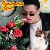 Portada ЮГ 404 - Одинокая луна ЮГ 404 - Одинокая луна