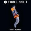 Portada Tones & I feat. Dj Noiz - Dance Monkey Tones & I feat. Dj Noiz - Dance Monkey