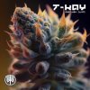 Portada T-Kay - Ganjah VIP (Original Mix) T-Kay - Ganjah VIP (Original Mix)