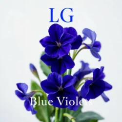 Portada Lali Gordzamashvili - ლურჯი იები-Blue Violets