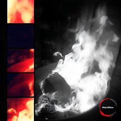 Portada NonRev - Congruent