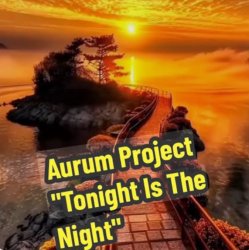 Portada Aurum Project - Tonight Is The Night
