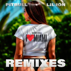 Portada Pitbull & Lil Jon - Damn I Love Miami (Apollo XO Remix)