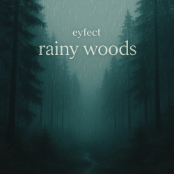 Portada eyfect - rainy woods
