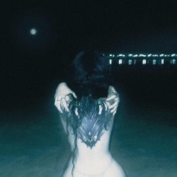 Portada bulletrain - dragontattoo (slowed)