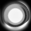 Portada Disclosure - Moonlight Disclosure - Moonlight