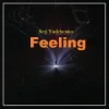 Portada Serj Yudchenko - Feeling Serj Yudchenko - Feeling