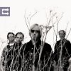Portada Tom Petty - Accused Of Love Tom Petty - Accused Of Love