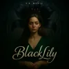 Portada Y.K. Music - Black Lily Y.K. Music - Black Lily