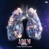 Portada Mark With A K feat. Jelle van Dael & Madoc - Adem Mark With A K feat. Jelle van Dael & Madoc - Adem