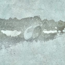Portada ssshhhiiittt! - Сухоцвет