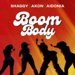 Portada Shaggy & Akon & Aidonia - Boom Body