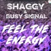 Portada Shaggy & Busy Signal - Feel The Energy Shaggy & Busy Signal - Feel The Energy