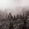 Portada Y.K. Music - У Тумані Y.K. Music - У Тумані