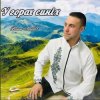 Portada ВАНЯ ЛАБАЧ - У ГОРАХ СИНІХ (ВАТРА) ВАНЯ ЛАБАЧ - У ГОРАХ СИНІХ (ВАТРА)