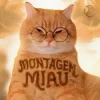 Portada Lenar - Montagem Miau Lenar - Montagem Miau