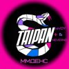 Обкладинка Тайпан feat. HYDY & Neverno - ММДенс Тайпан feat. HYDY & Neverno - ММДенс