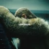Portada Beyoncé - All Night Beyoncé - All Night