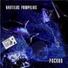 Portada Nautilus Pompilius - Синоптики Nautilus Pompilius - Синоптики