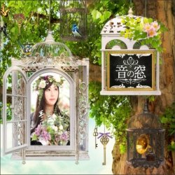 Portada Akiko Shikata - Kuuhaku no Mori