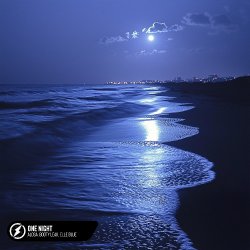 Portada Alosa, Booty Leak, Elle Blue - One Night
