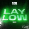 Portada Tiesto - Lay Low (Arem Ozguc & Arman Aydin Remix) Tiesto - Lay Low (Arem Ozguc & Arman Aydin Remix)