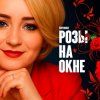 Portada SEVENROSE - Розы на окне SEVENROSE - Розы на окне